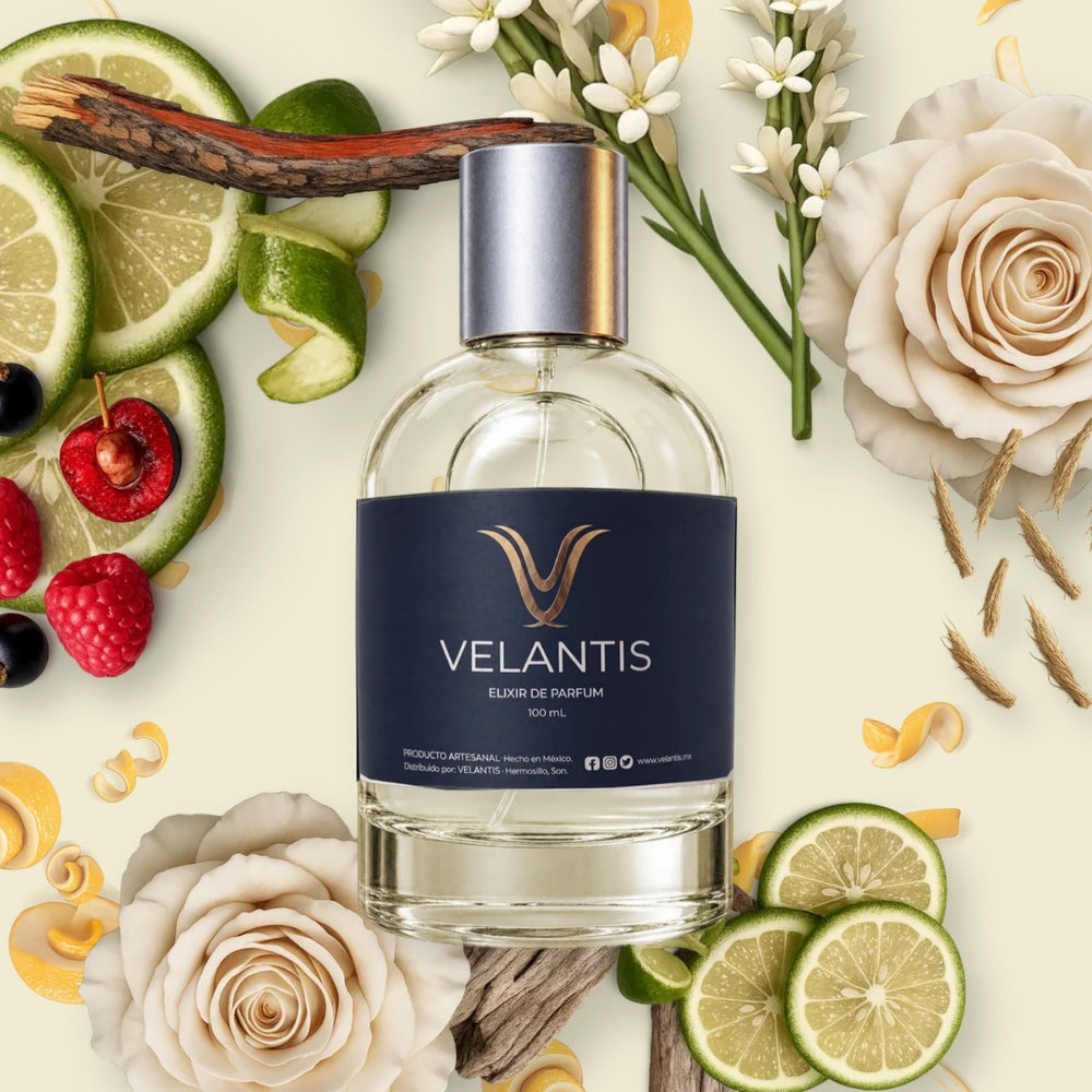 WILD VETIVER