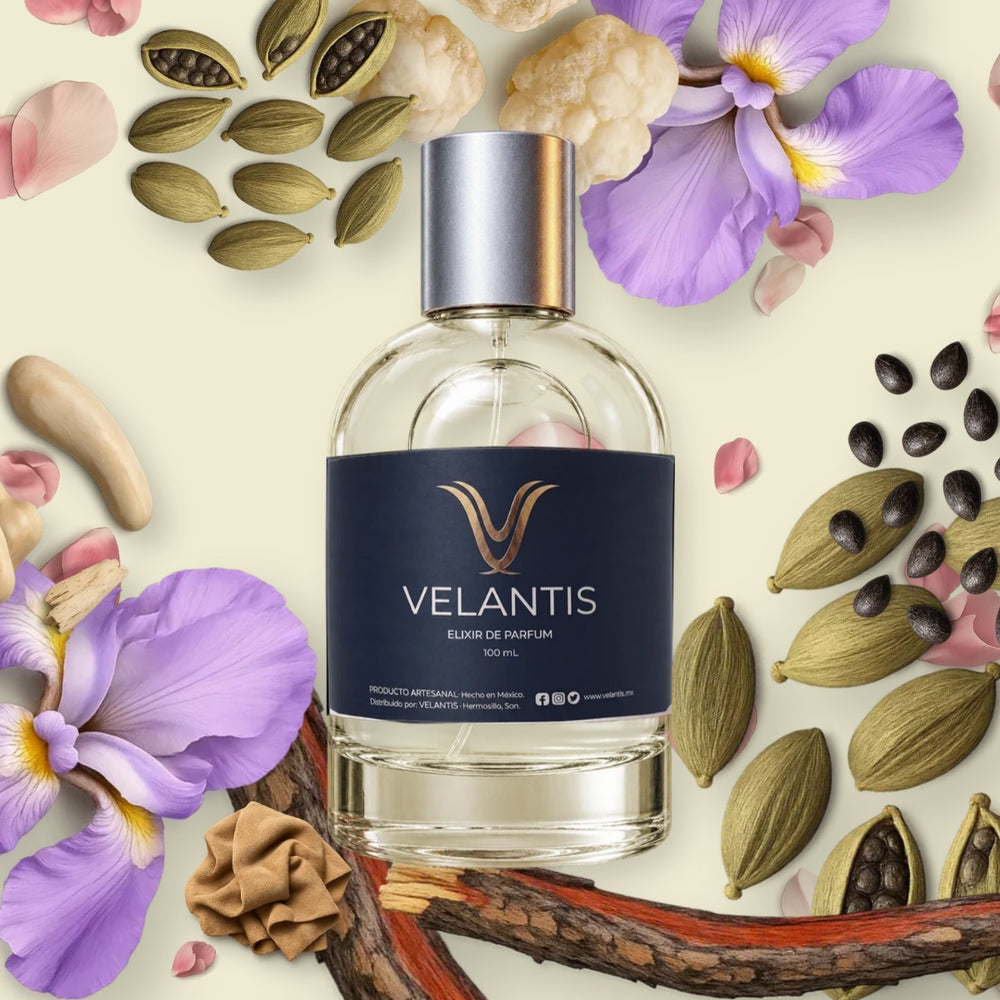 SANTAL 33