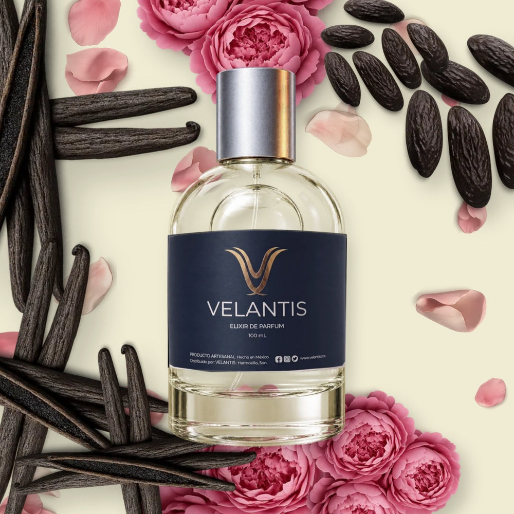 VANILLA SEX
