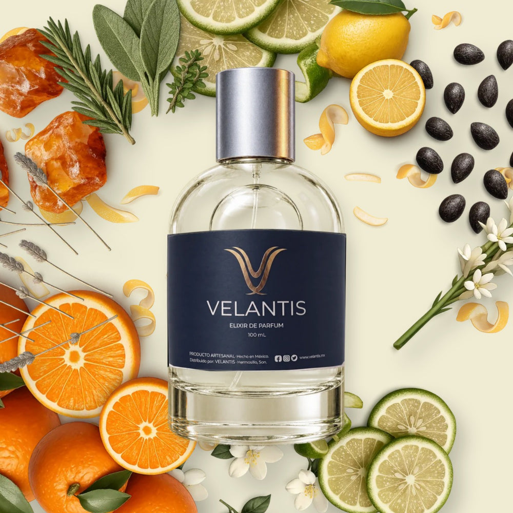 NEROLI PORTOFINO
