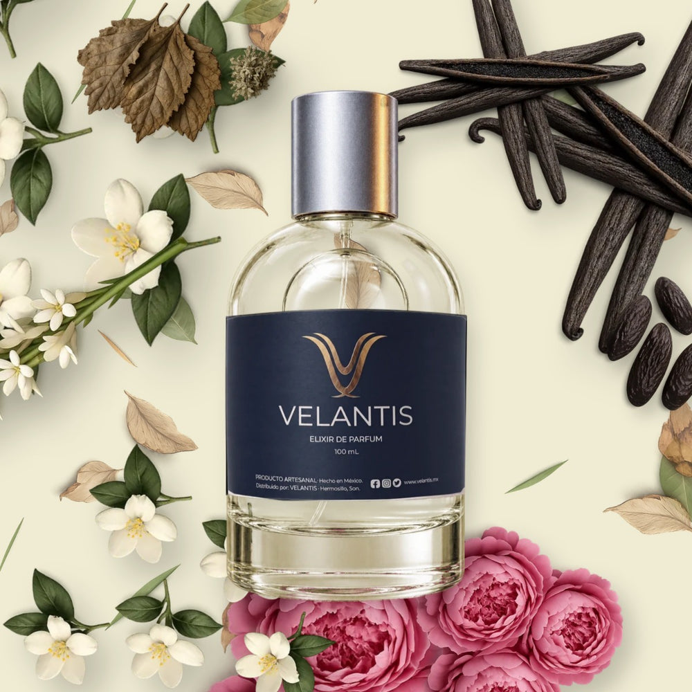 VAINILLA ROYALE SUGARED PATCHOULI|64 EAU DE PARFUM INTENSE
